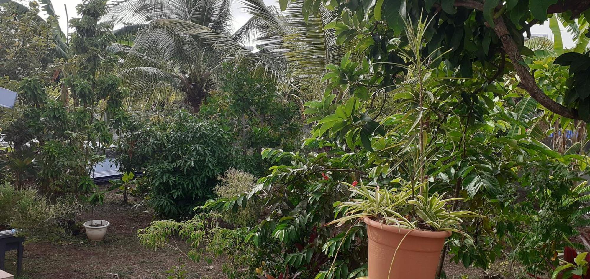 Apartamento Le P'Tit Nid Cocodydy Baillif Exterior foto